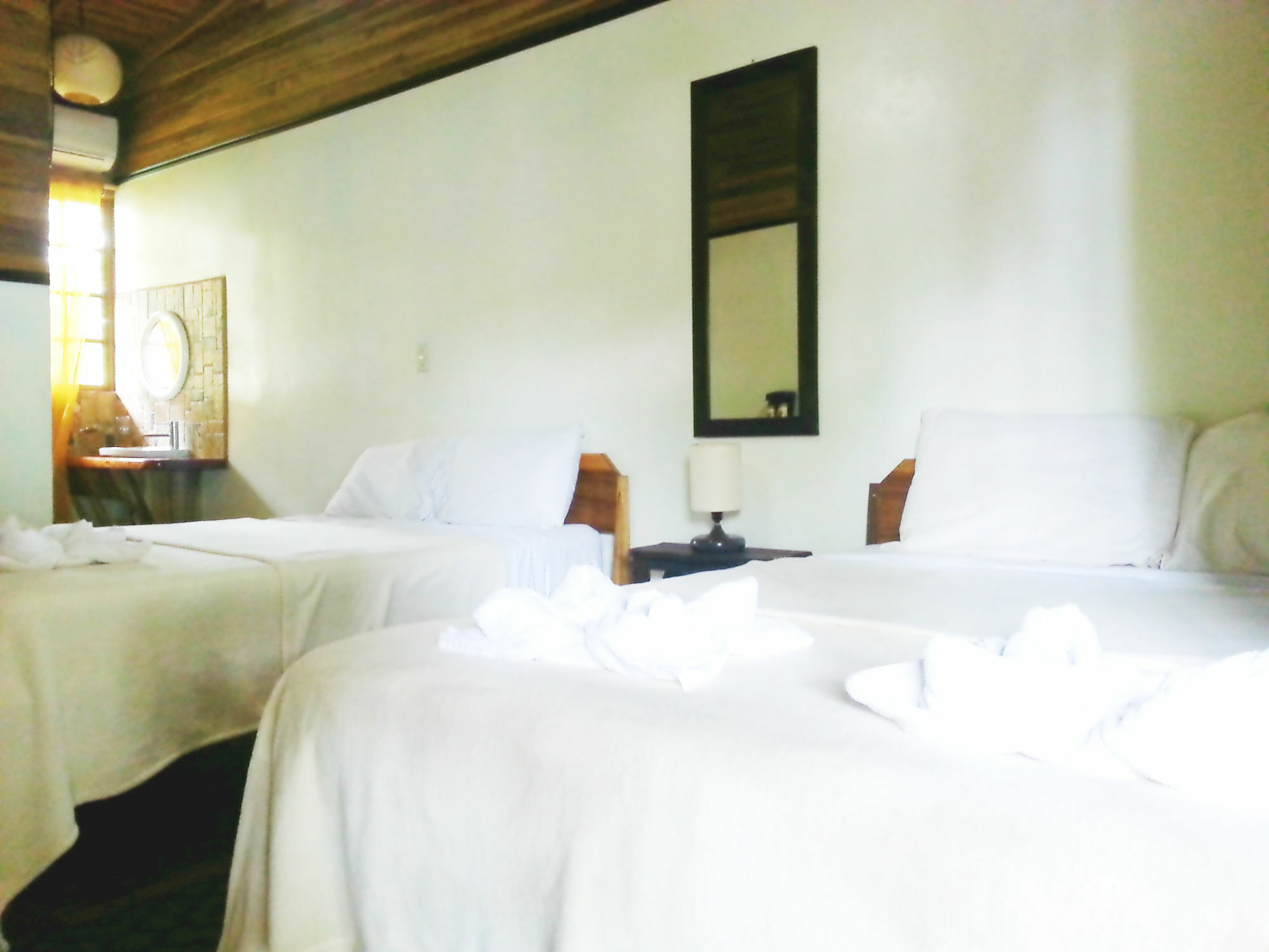 Lizard King Resort Puerto Viejo de Talamanca Kültér fotó